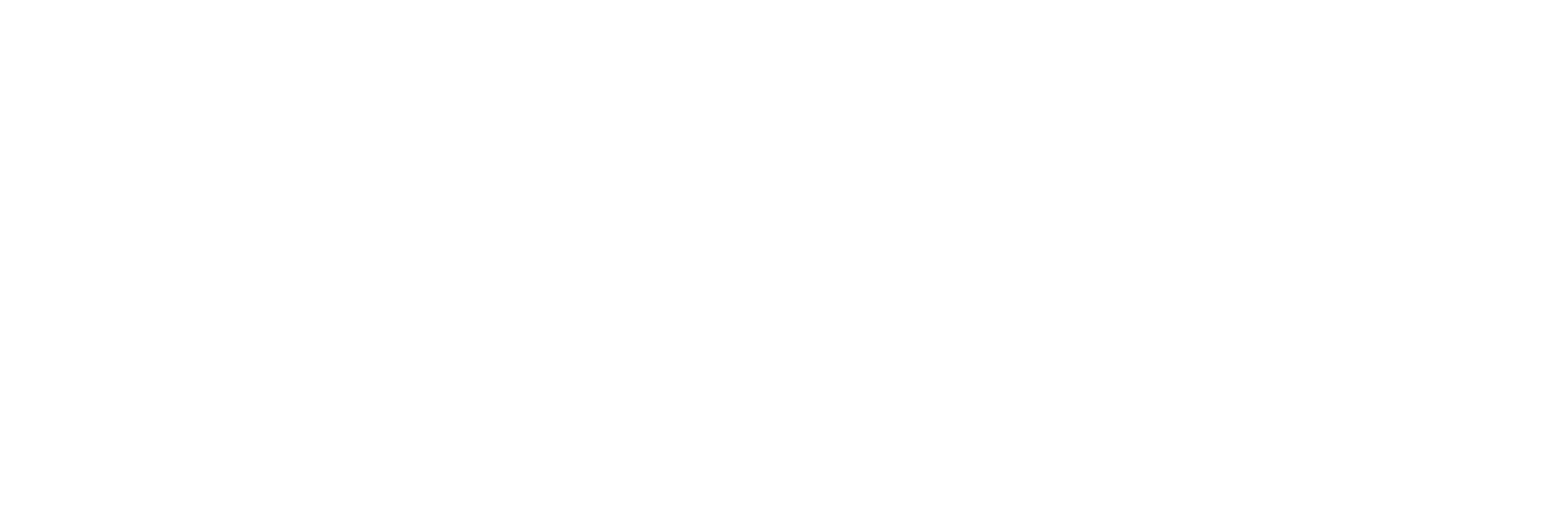 Andrea Zalles